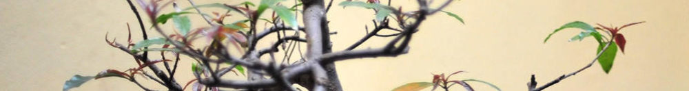 完治医療（医療資料）